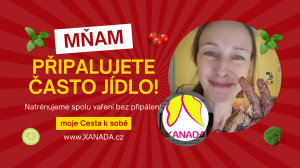 Mnam www.XANADA.cz Jana Zlesáková