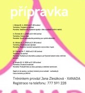 Letní přípravka 2025 On-line